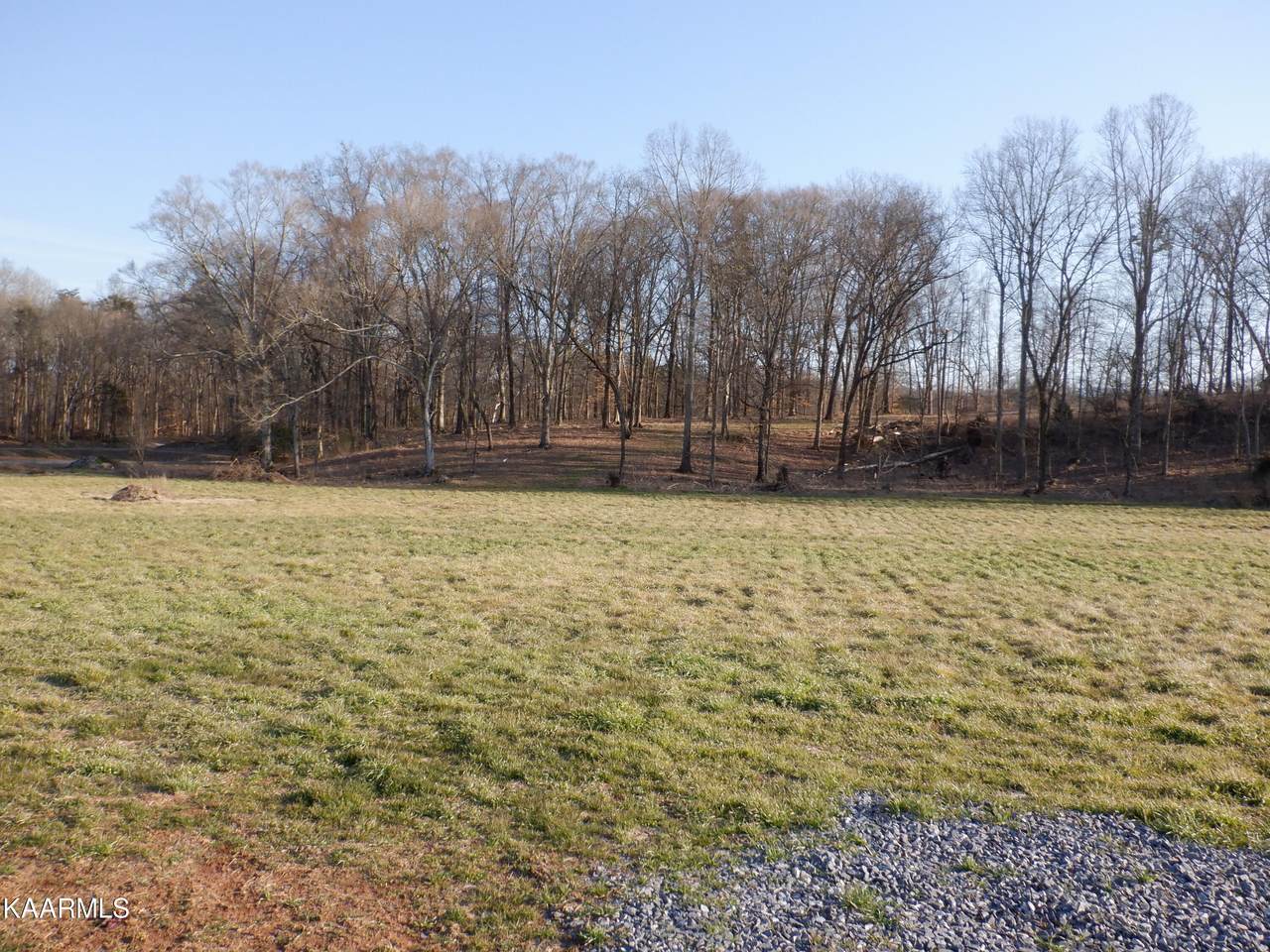 2253 Boyds Creek Hwy - Photo 1