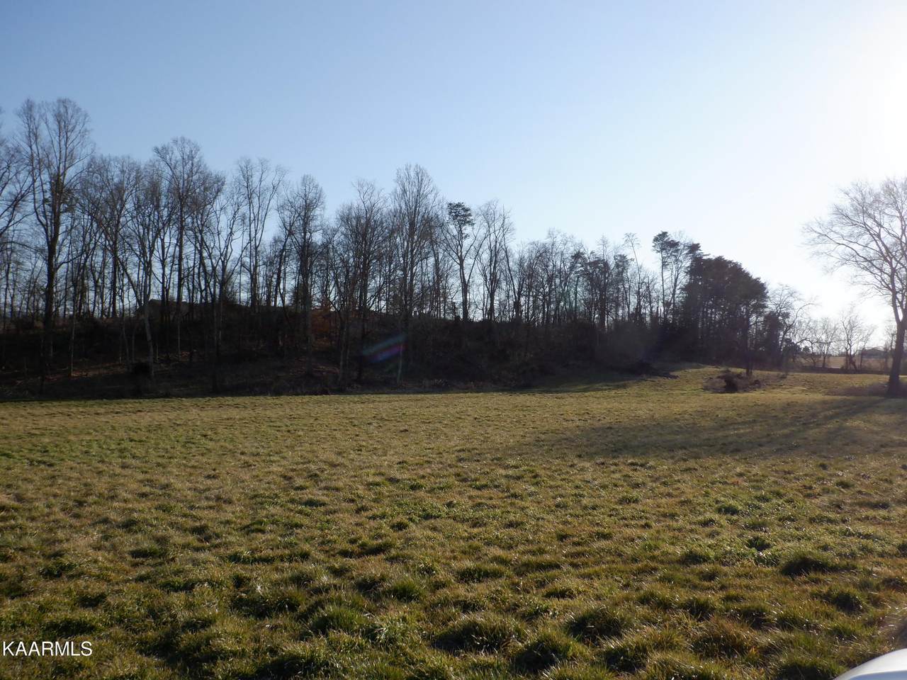 2253 Boyds Creek Hwy - Photo 1