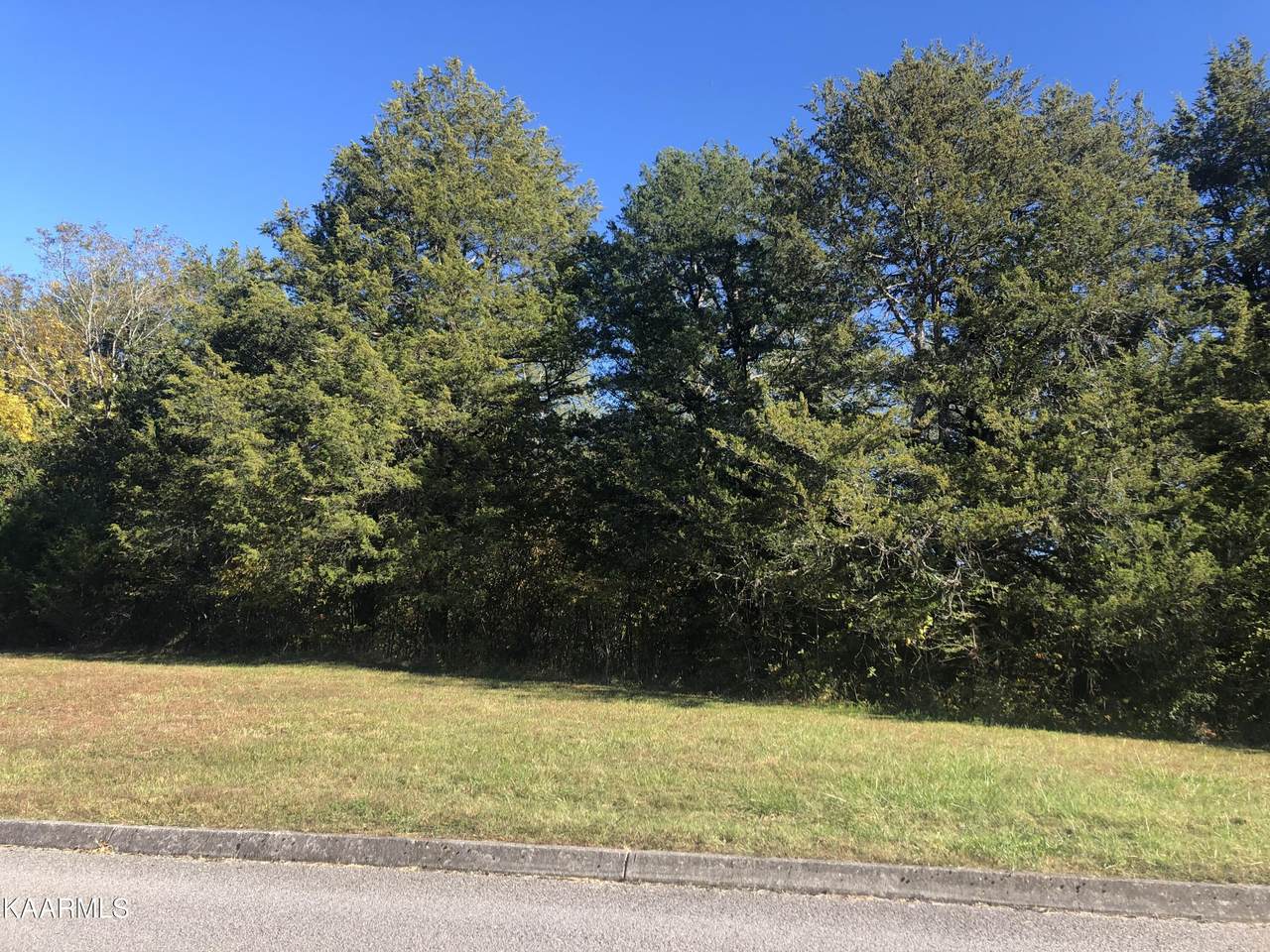 409 Woodlake Blvd - Photo 1