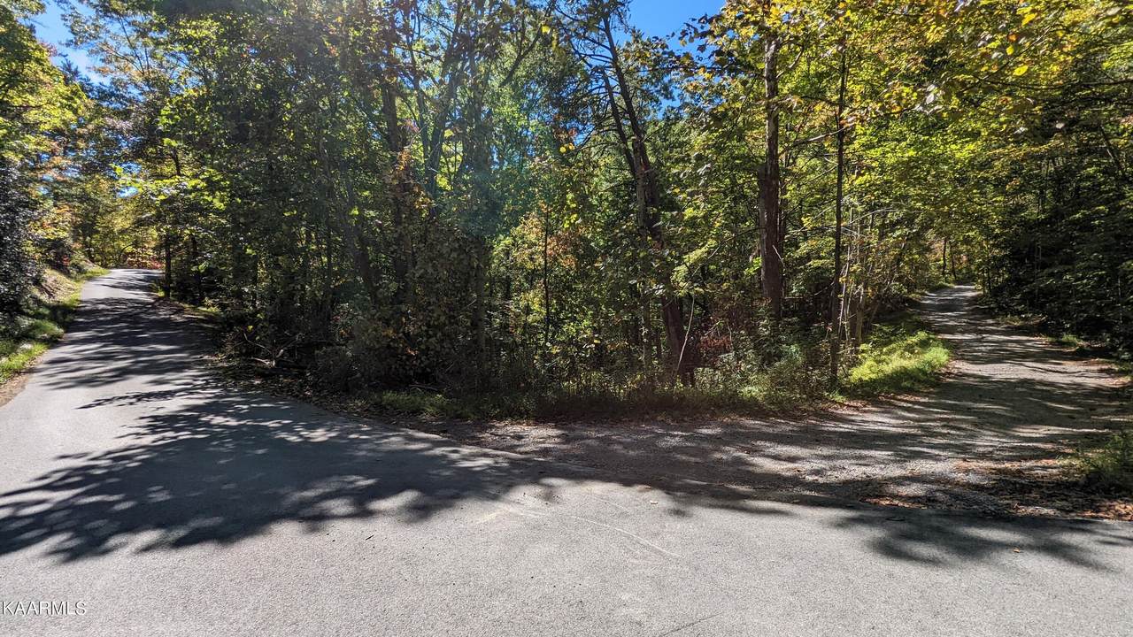 Lot 30 Brooke Hollow Lane - Photo 1