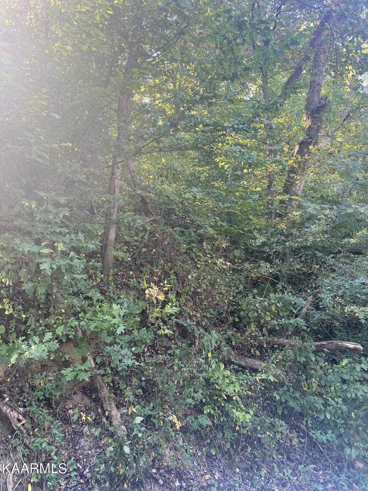 Boling Rd - Photo 1