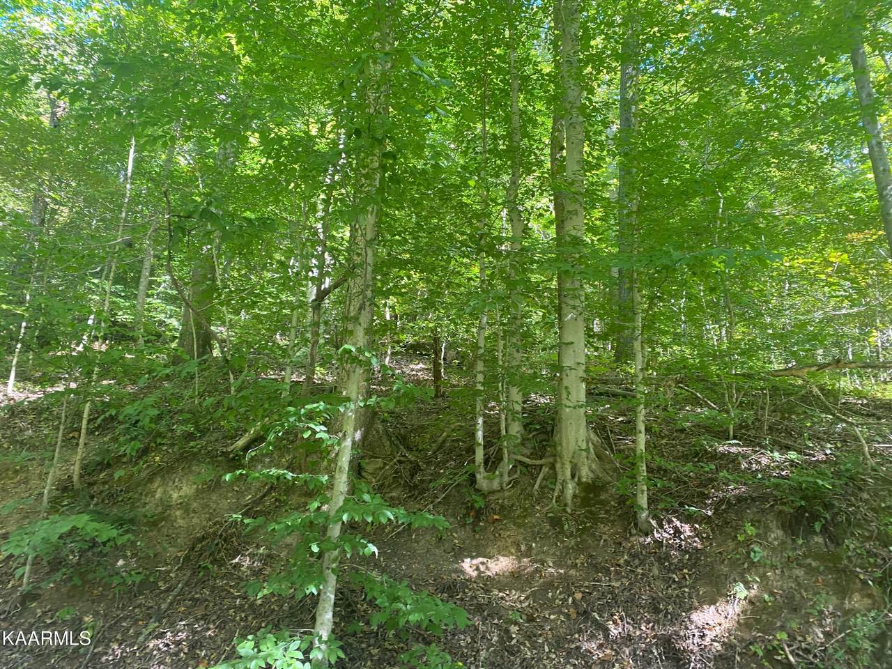 0 Lake Rd - Photo 1