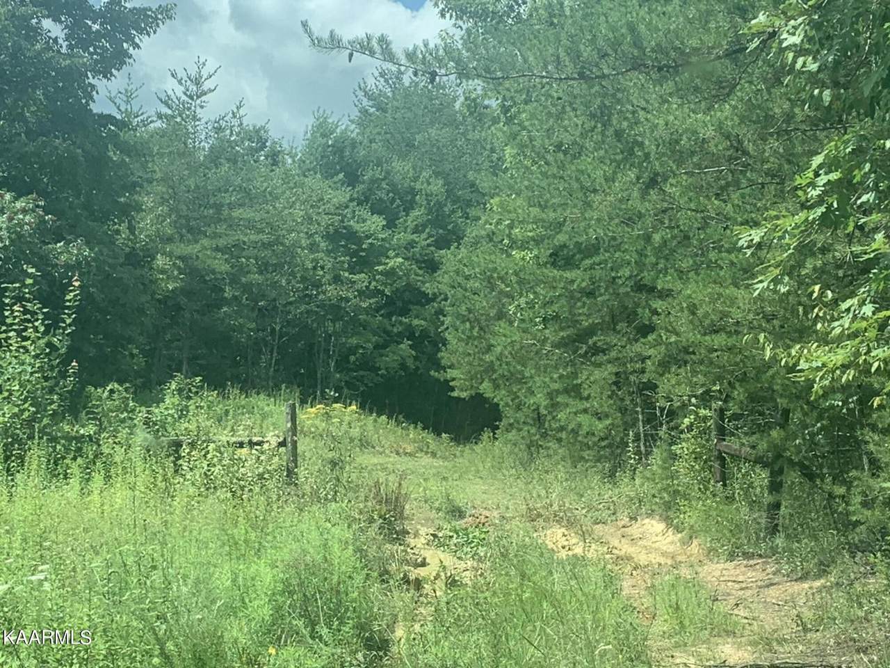 650 Glades Rd - Photo 1