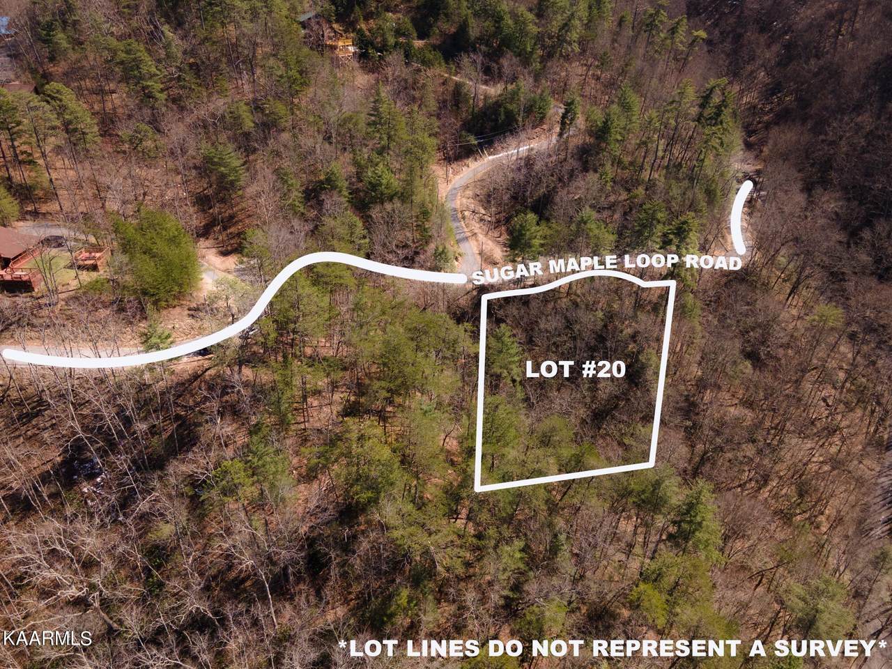 Lot 20 Sugar Maple Loop - Photo 1