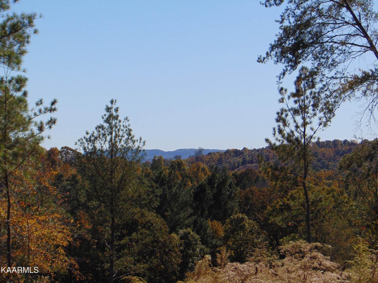15D-5 Cameron Road - Photo 1