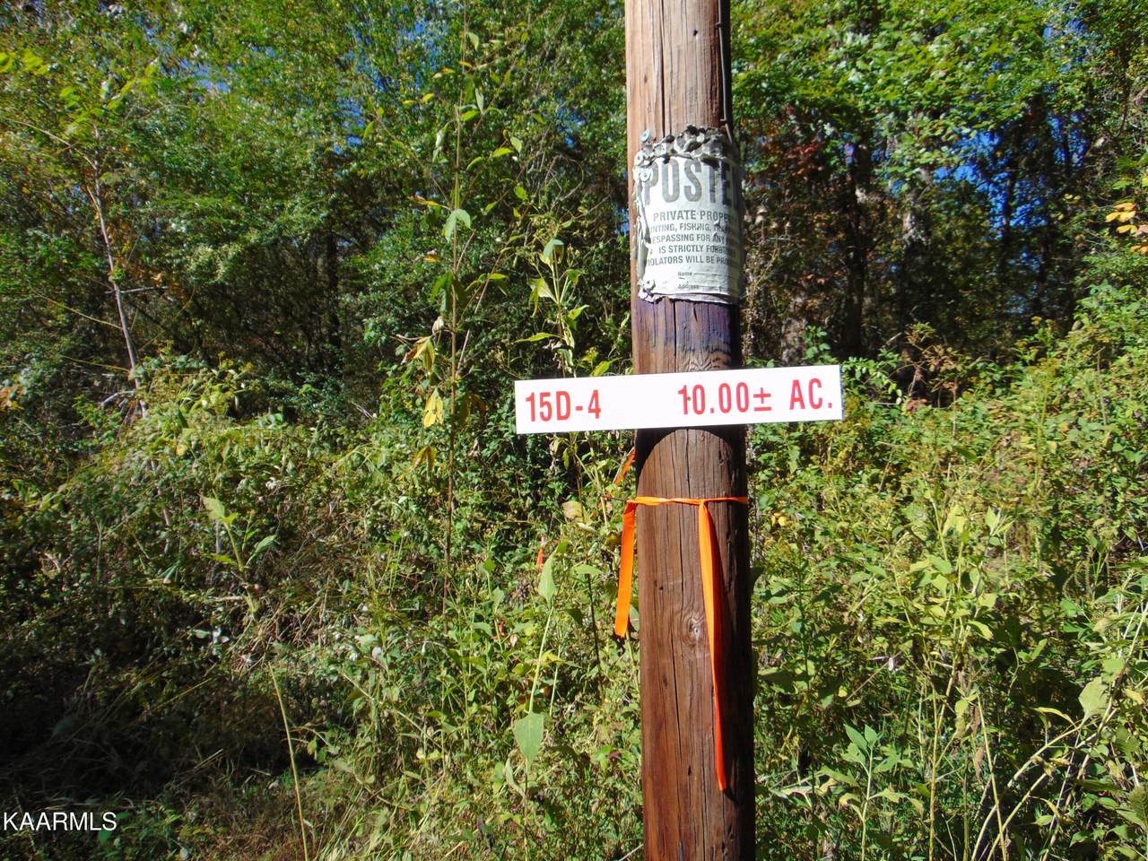15D-4 Cameron Road - Photo 1
