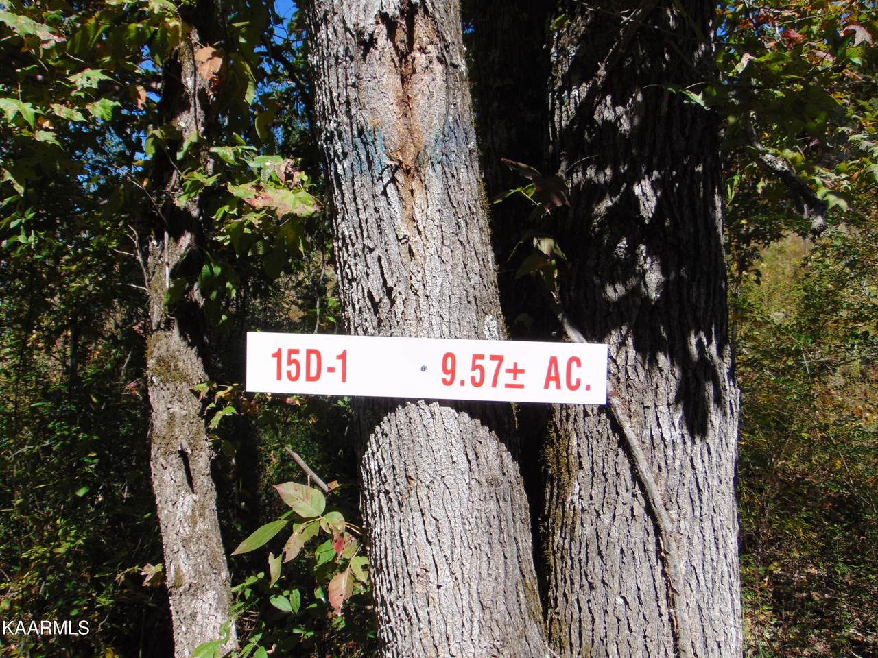 15D-1 Cameron Road - Photo 1