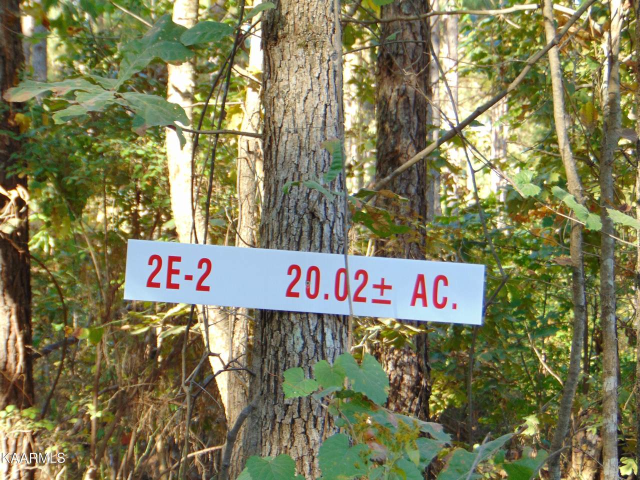 Tract 2E-2 Charles Road - Photo 1