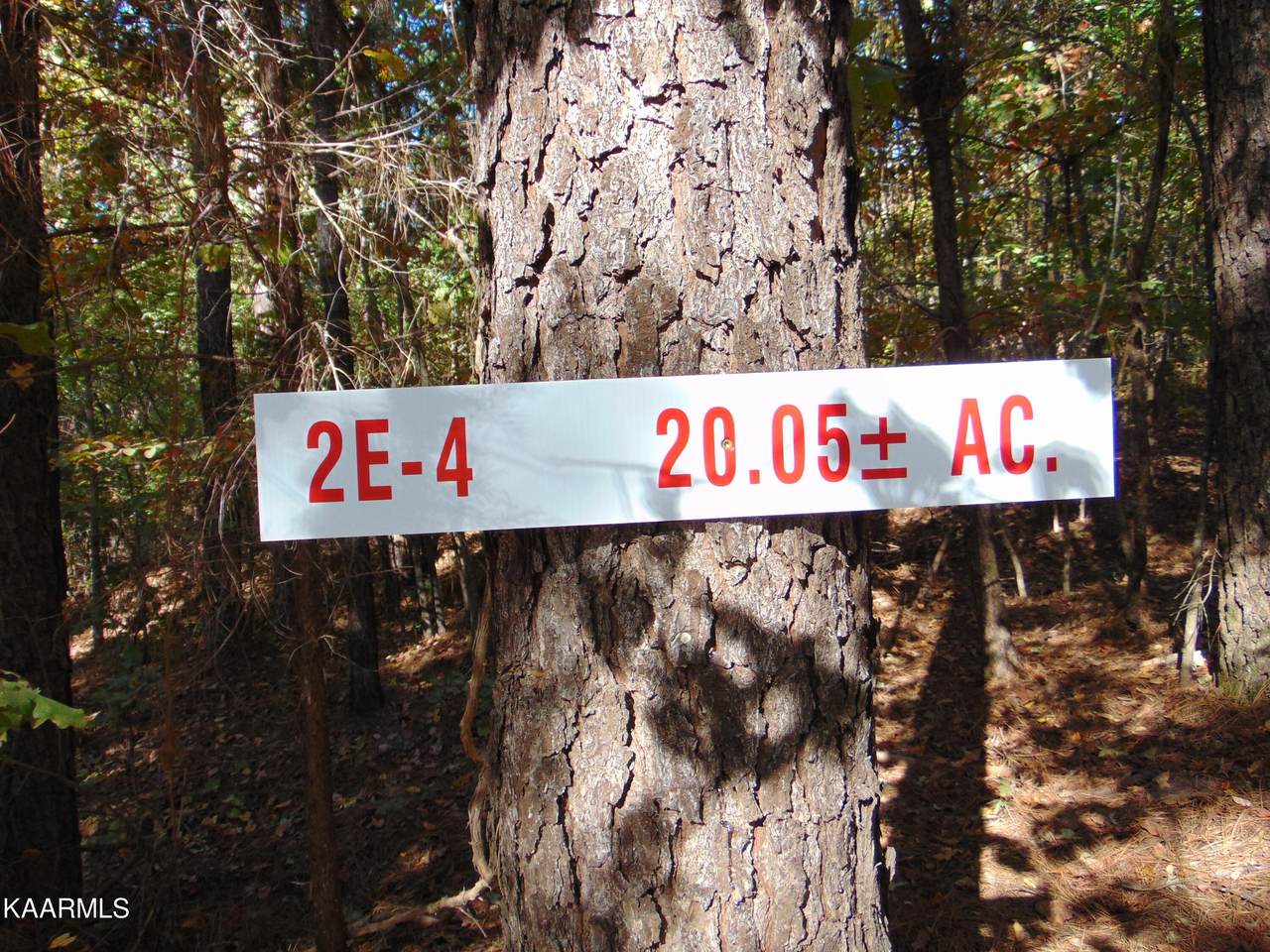 Tract 2E-4 Charles Road - Photo 1