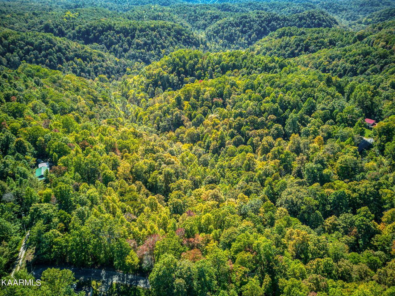 64 AC Ellison Goolsby Rd - Photo 1