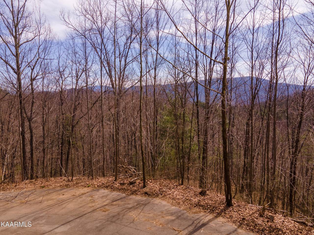 Lot 43 Spurling Road - Photo 1