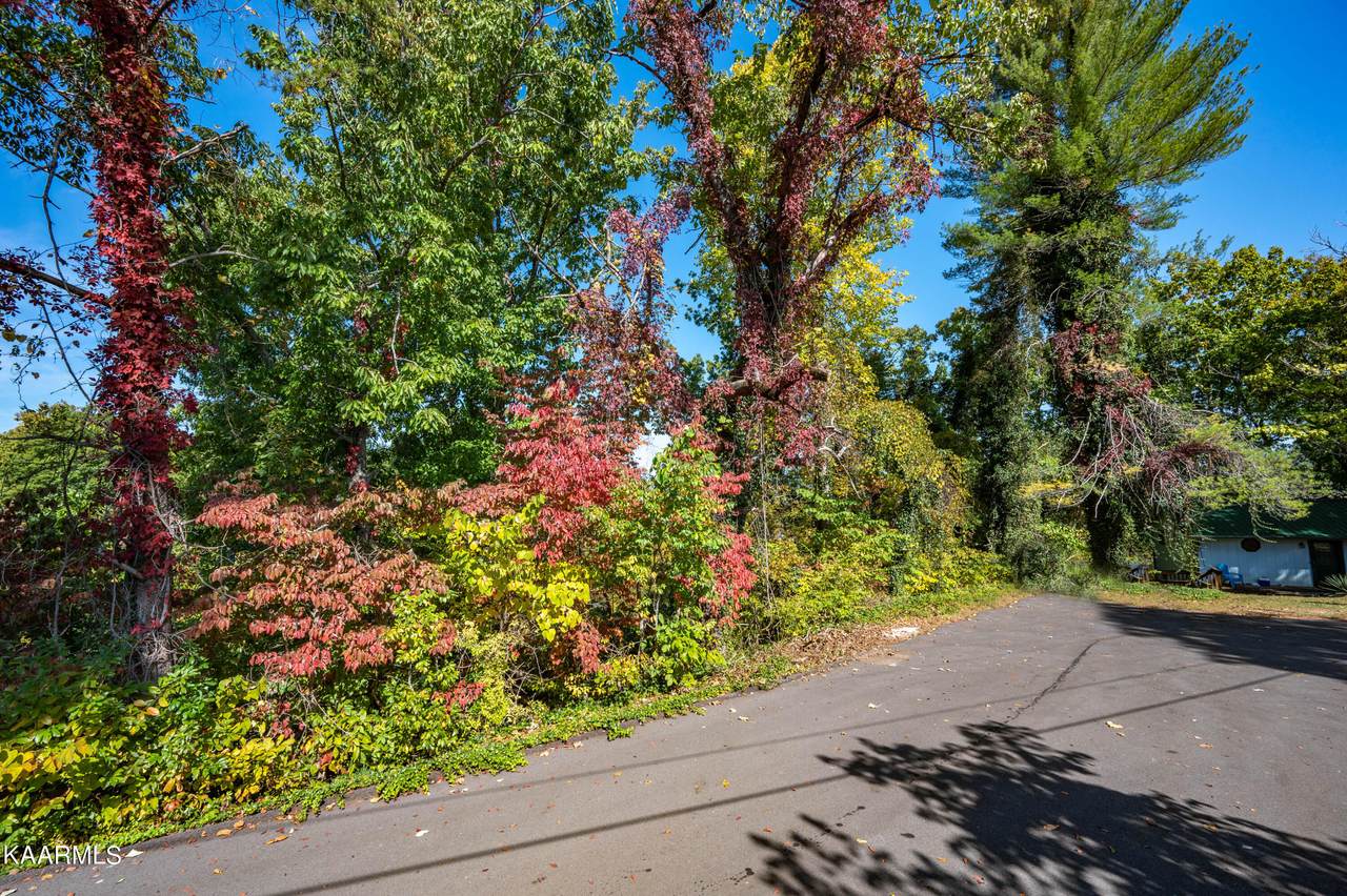 Lot 14 Vickwood Lane - Photo 1