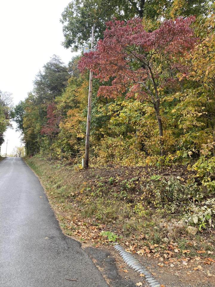 Fox Hunter Rd - Photo 1