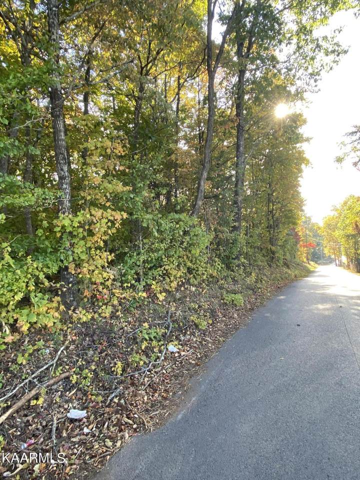Fox Hunter Rd - Photo 1