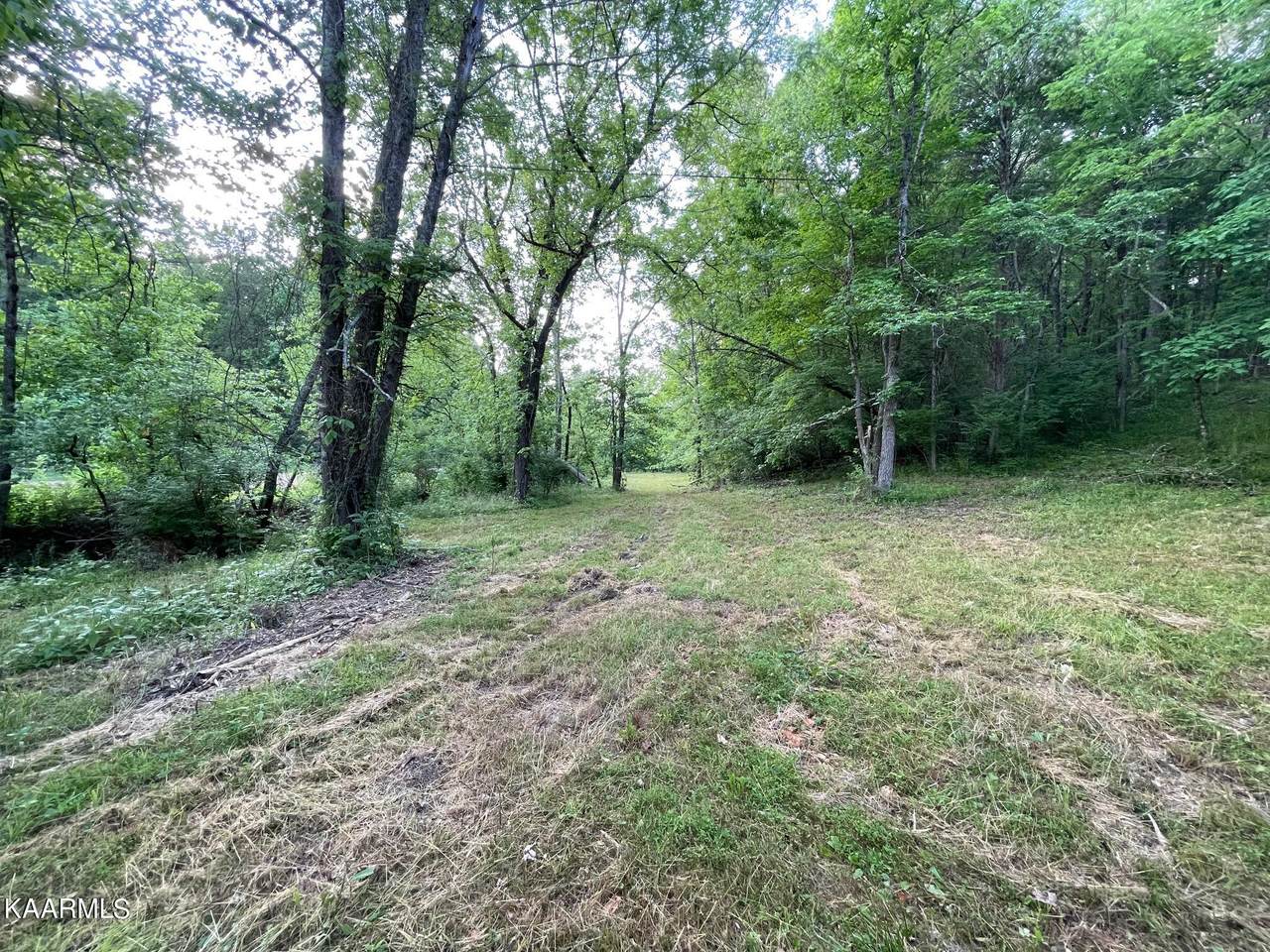 0 Curtis Rd - Photo 1