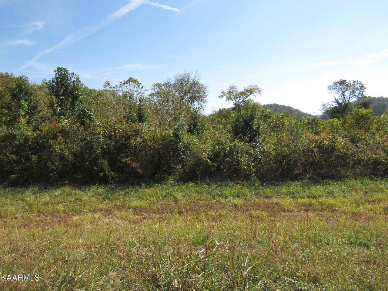 Lot 12 Water Plant Rd - Photo 1
