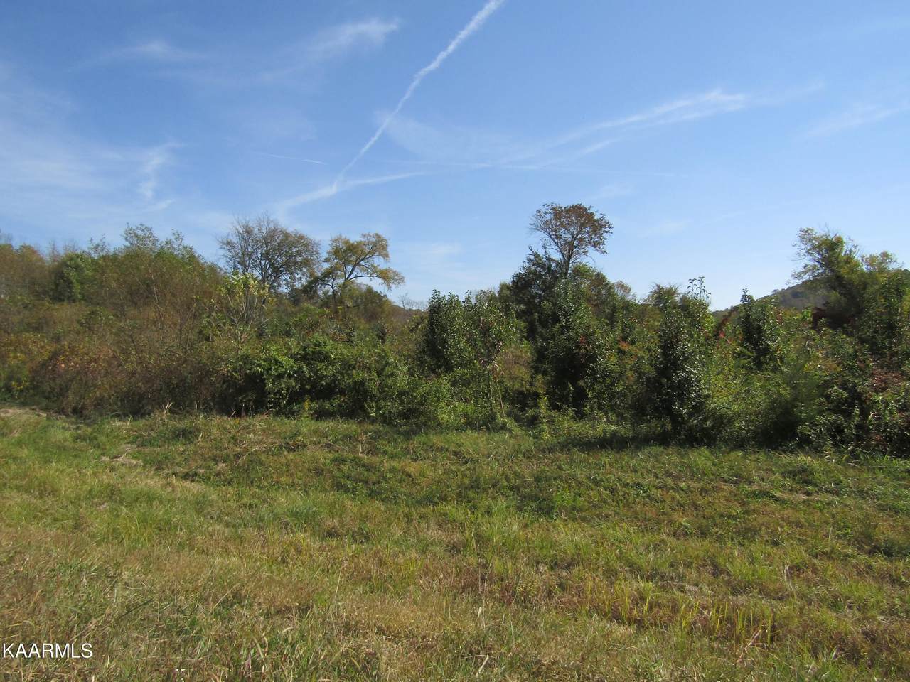 Lot 13 Water Plant Rd - Photo 1