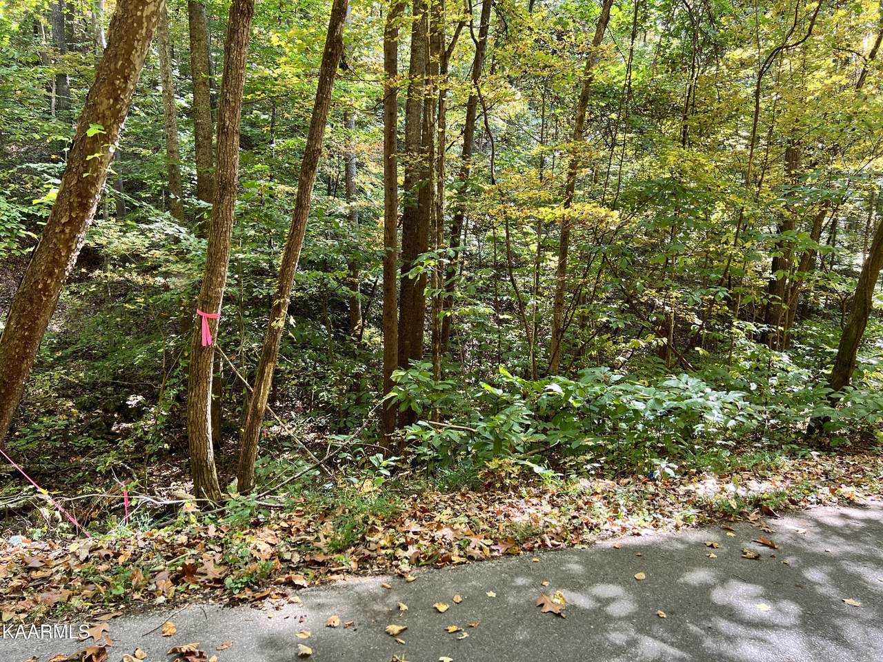 1875 Dyer Hollow Rd - Photo 1
