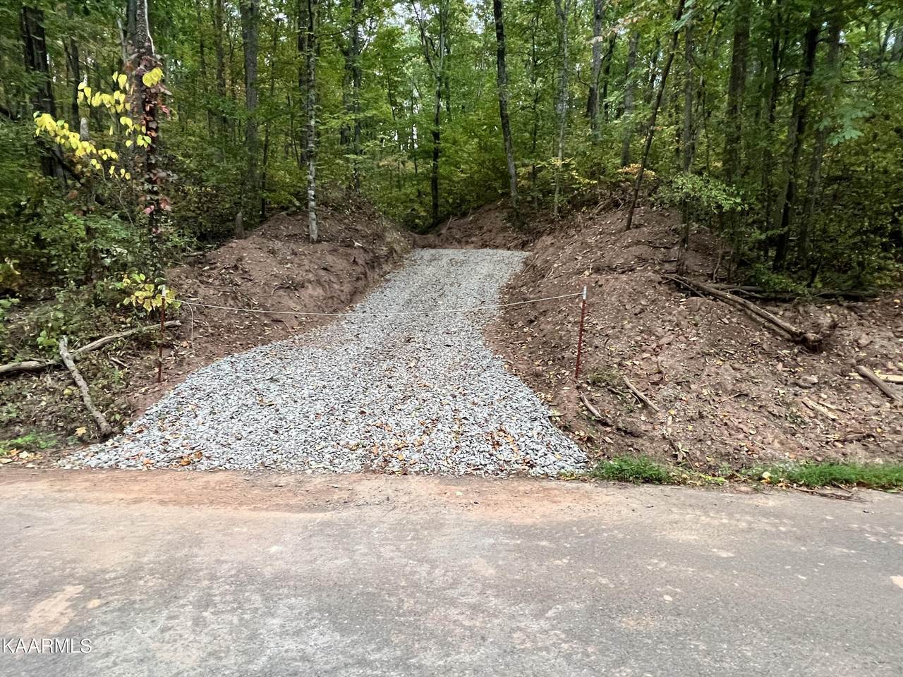 2065 Dyer Hollow Rd - Photo 1