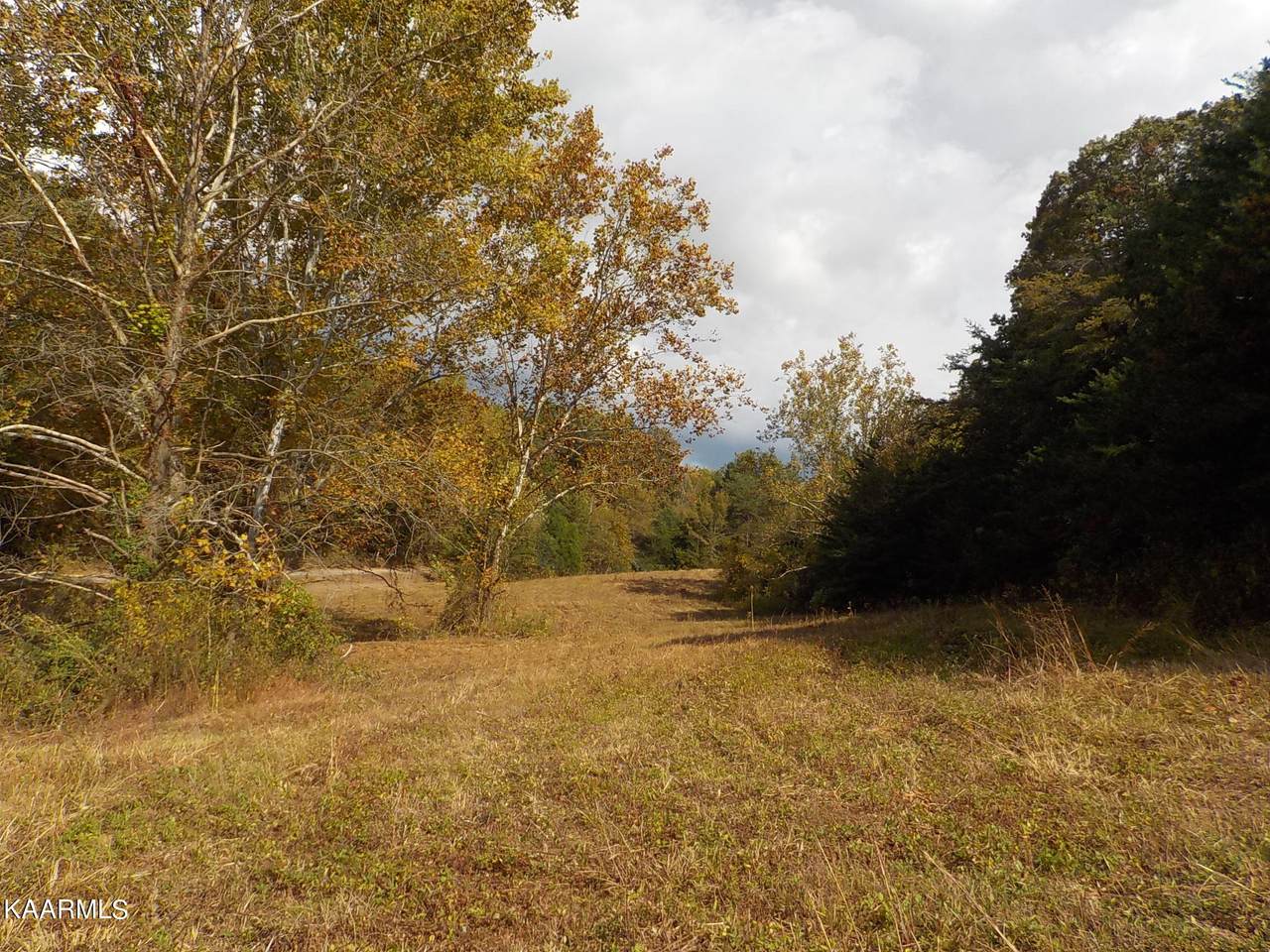 Moyers Road - Photo 1
