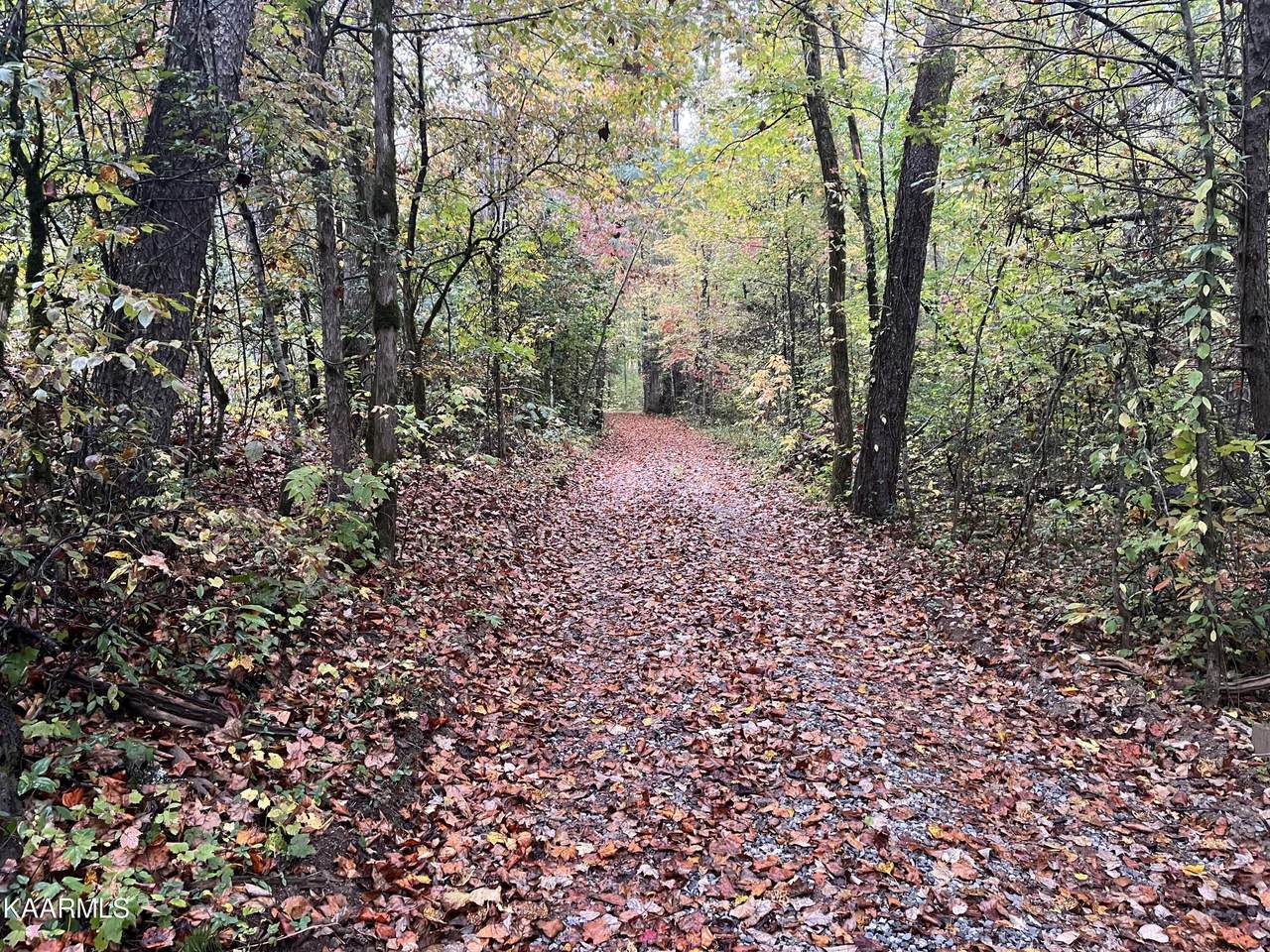 620 Bullet Creek Road - Photo 1