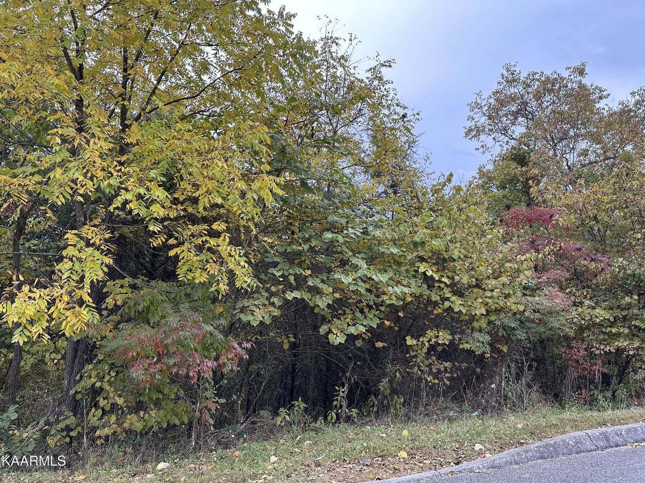 Wedge Way - Photo 1