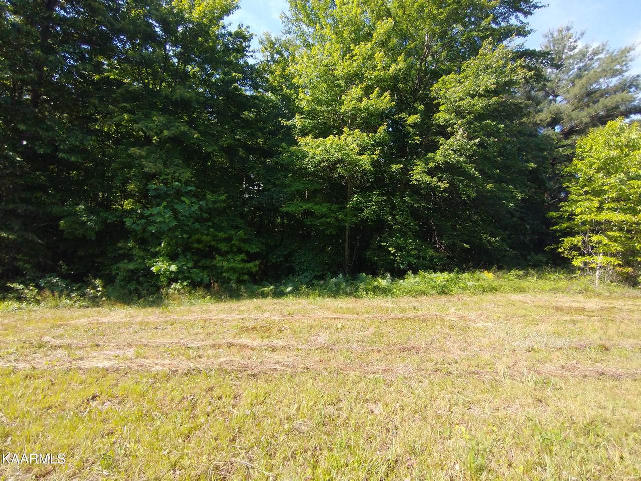 Crest View Drive - Photo 1