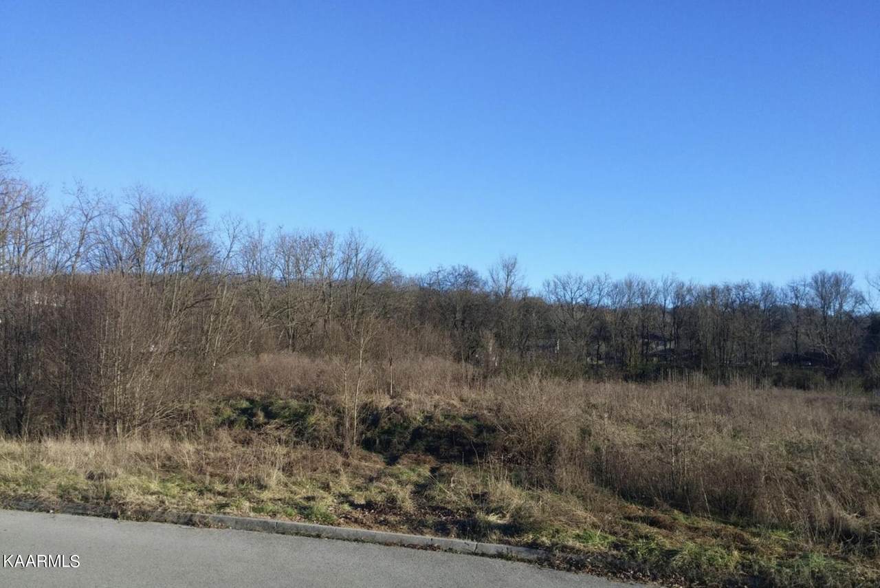 0 Roane Drive - Photo 1