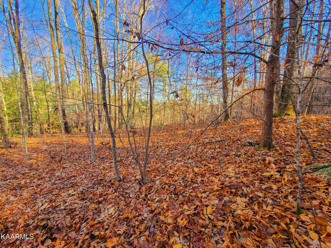 Lot 9 Walden Flats Way - Photo 1