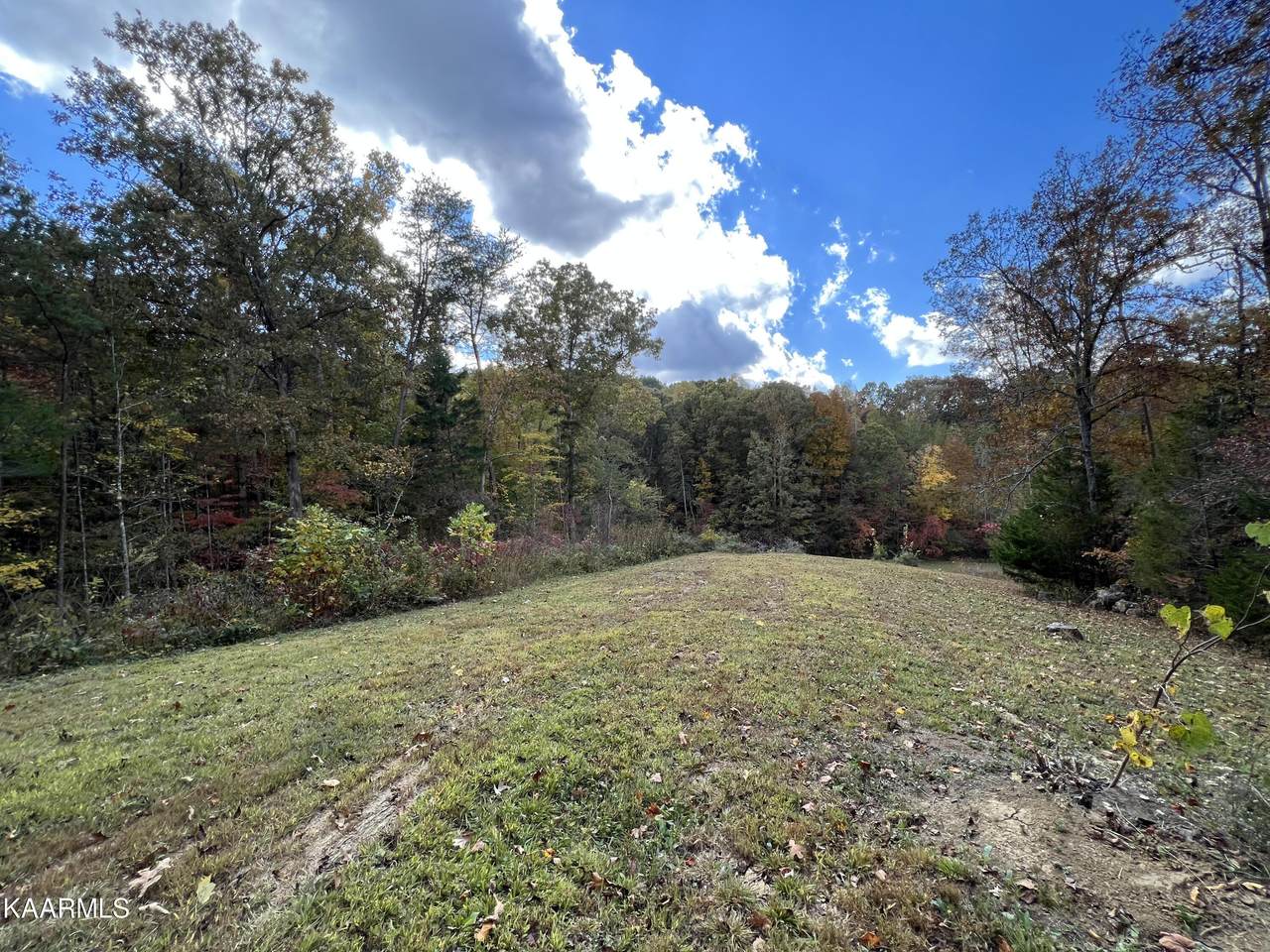 1476 Reagan Valley Rd - Photo 1