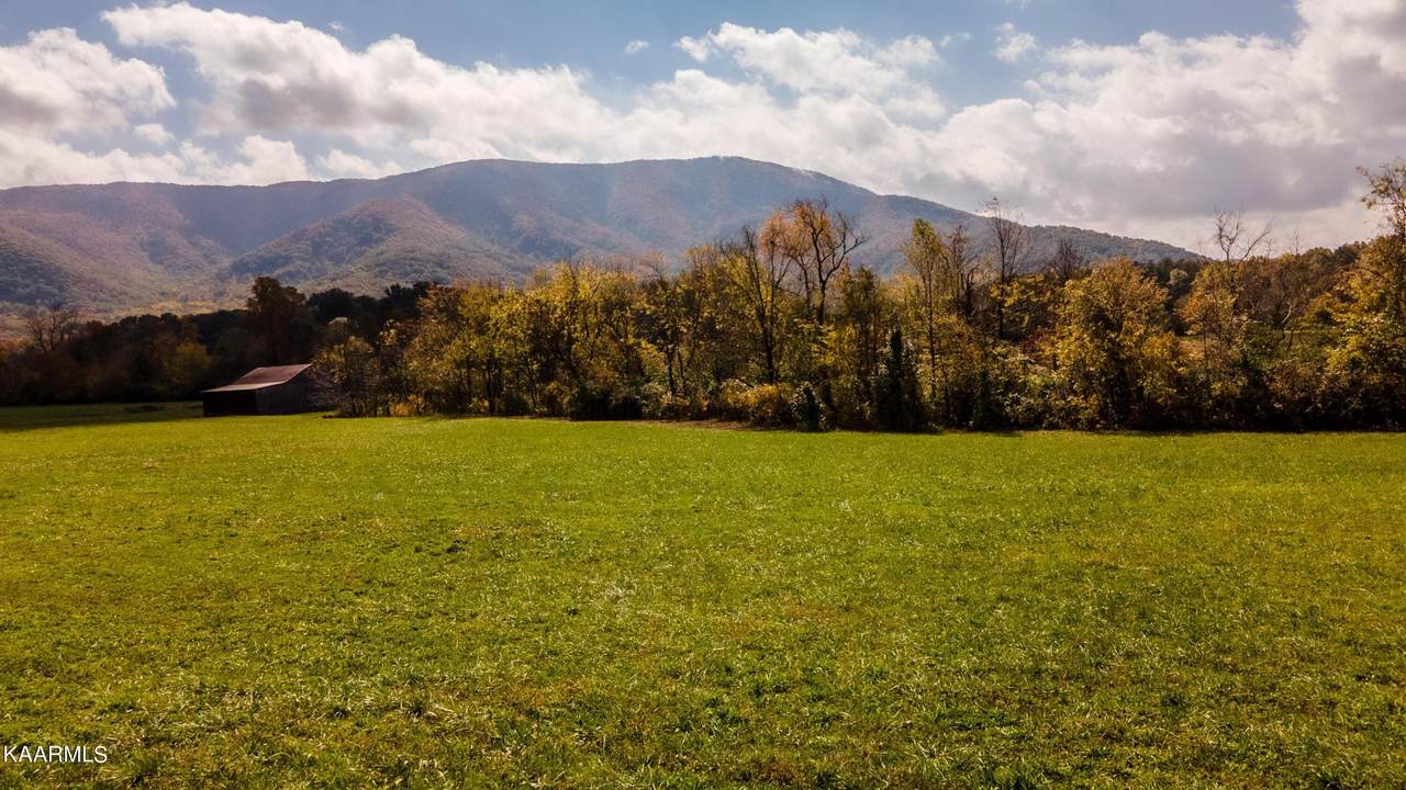 6 Acres Ownby Rd - Photo 1