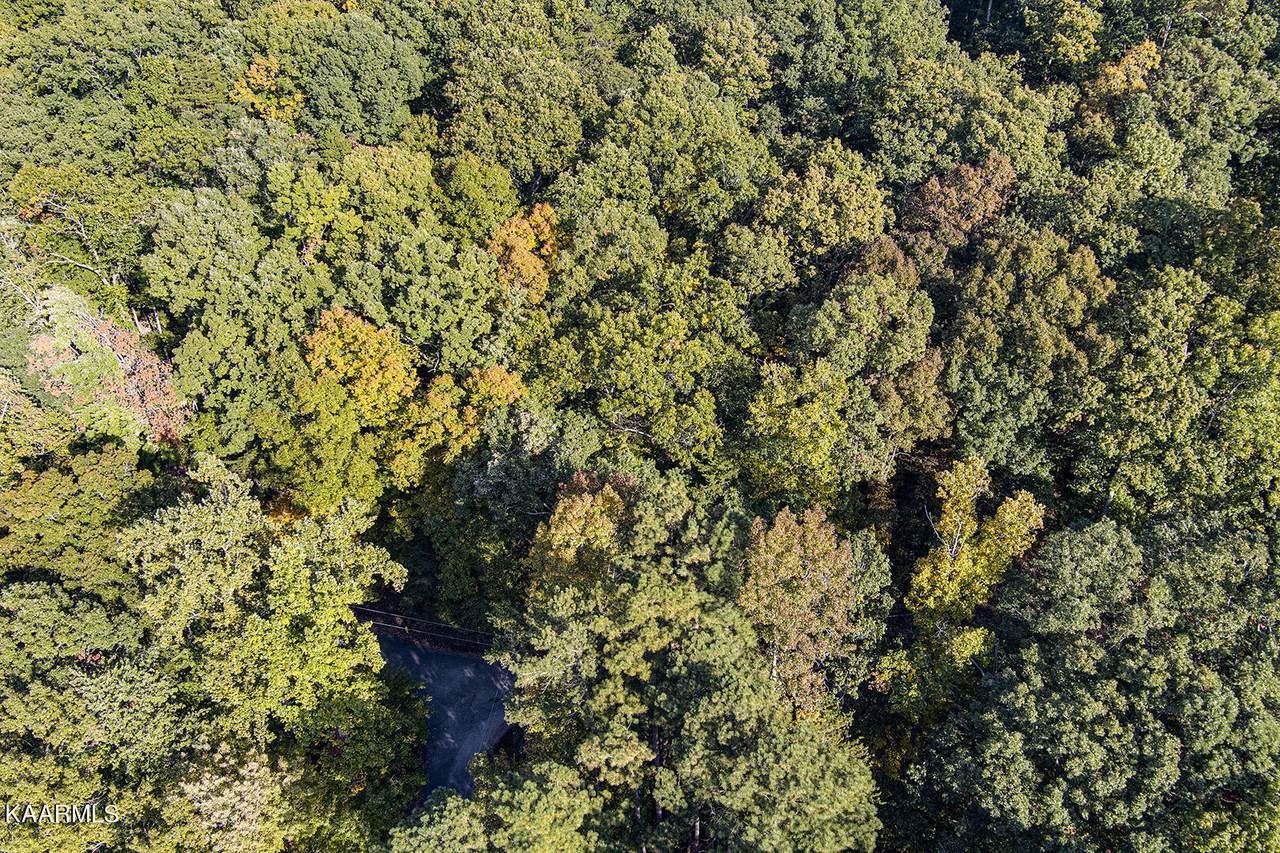 Lot 166 Laurel Lake Circle - Photo 1