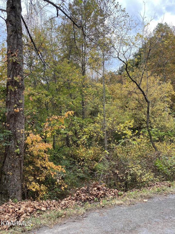 Comb Ridge Rd - Photo 1