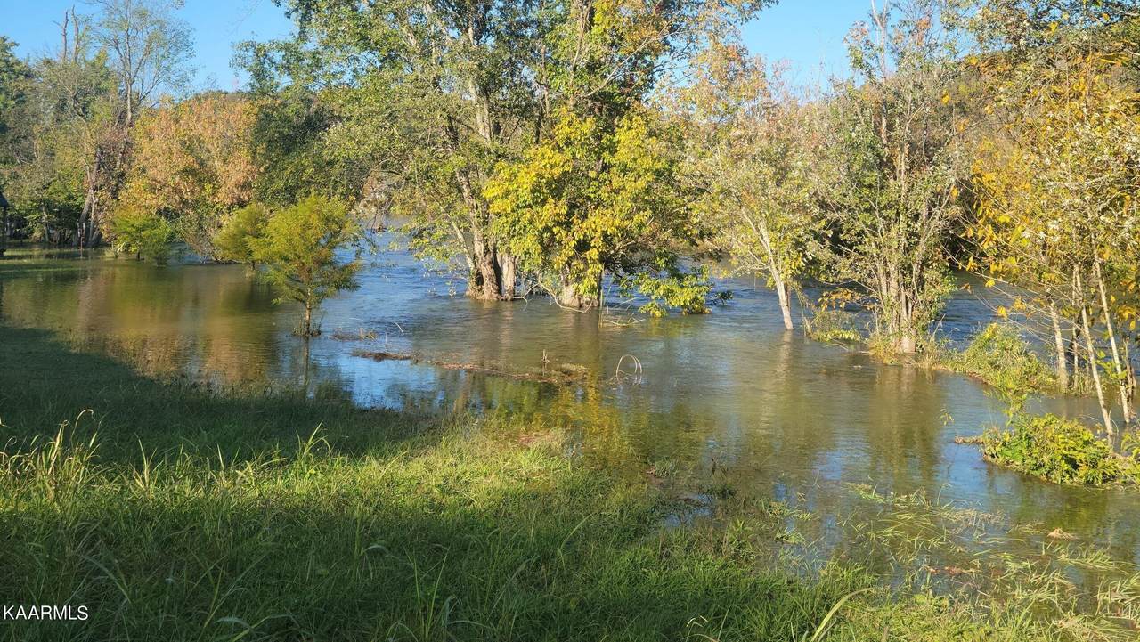 Holston Shores Drive - Photo 1