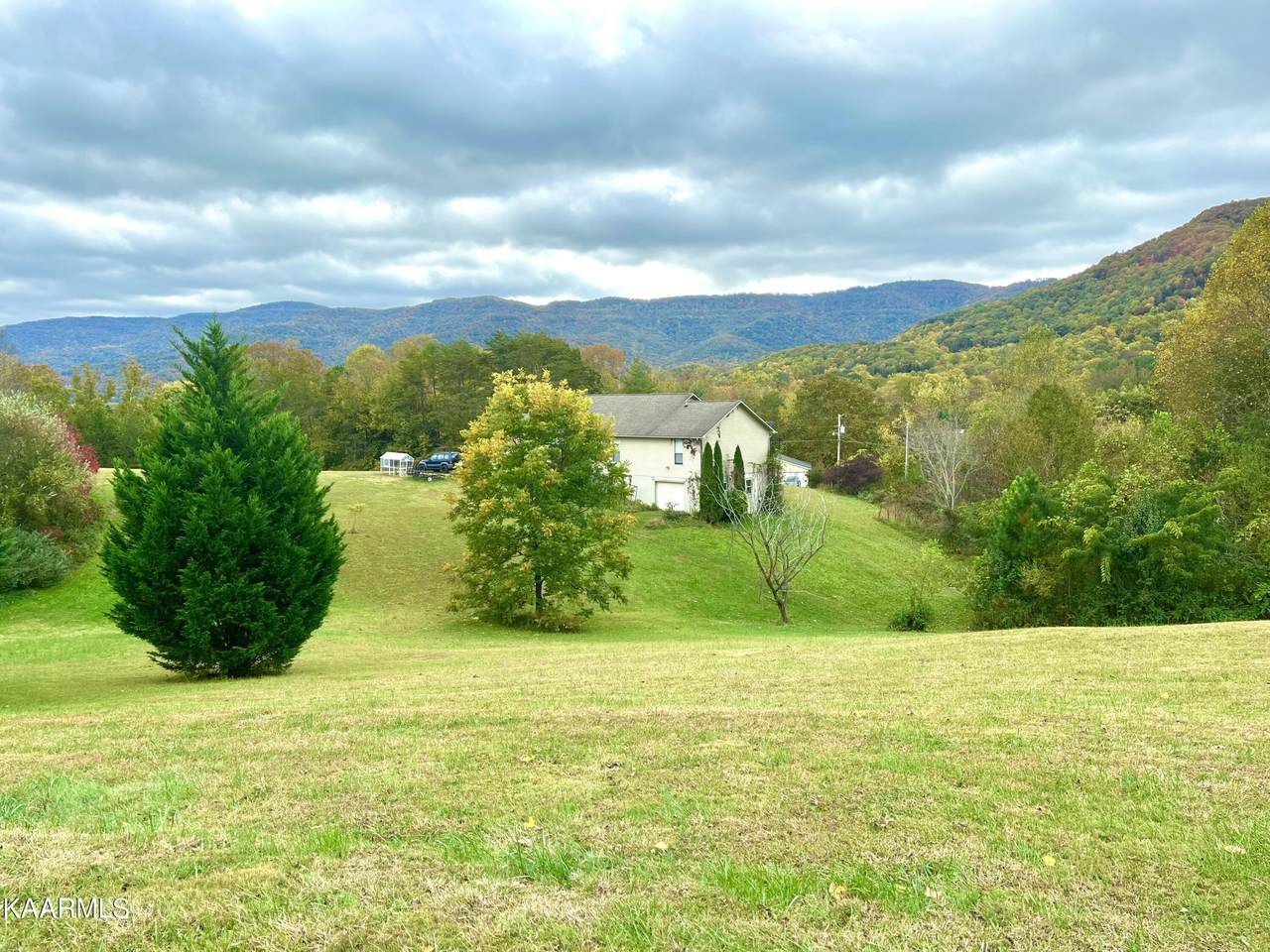Tionesta Drive - Photo 1