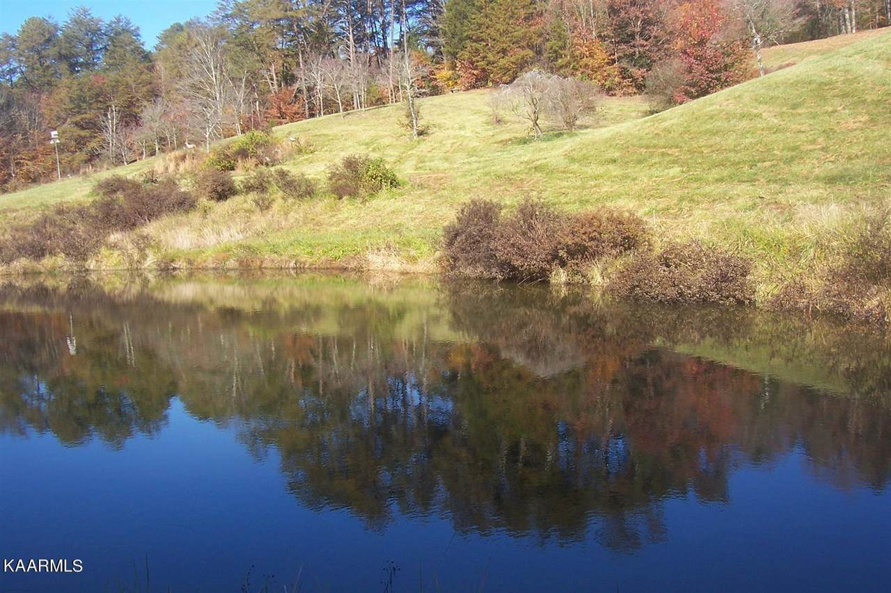 1032 Mccarter Hollow Rd - Photo 1