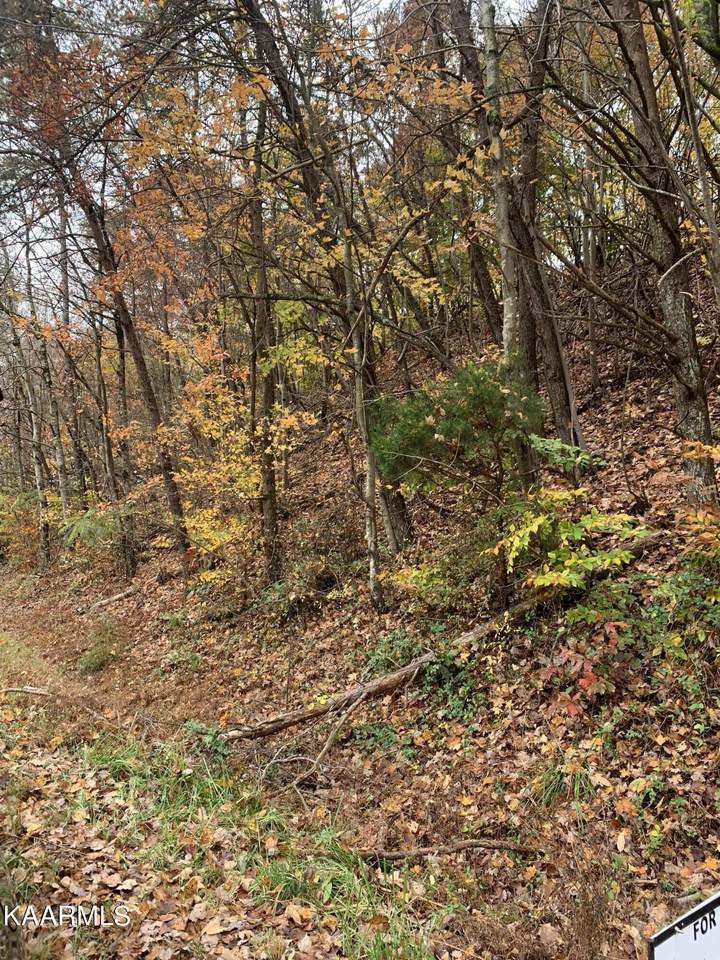 Patton Lane - Photo 1