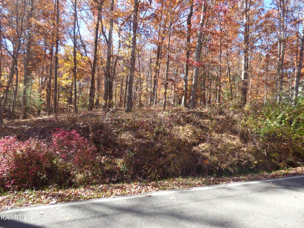 131 Ivy Lane - Photo 1