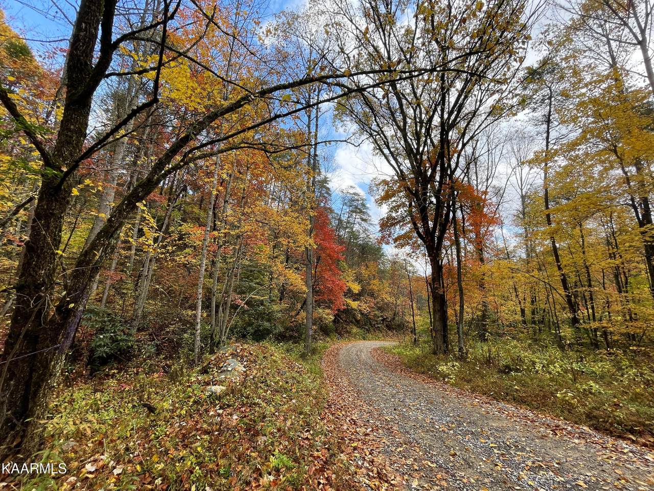 1775 Barnes Valley Rd - Photo 1