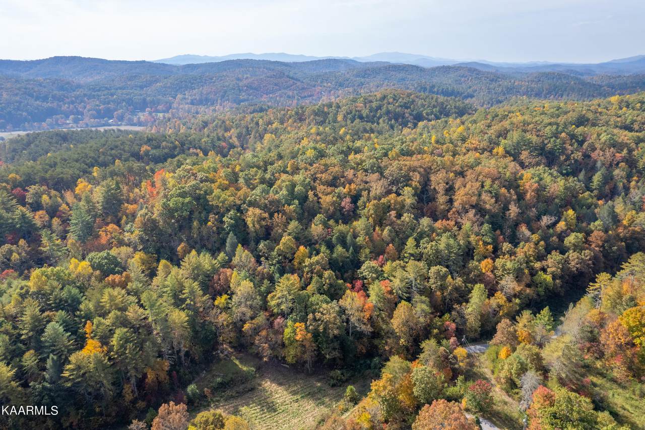 Maple Springs Rd - Photo 1