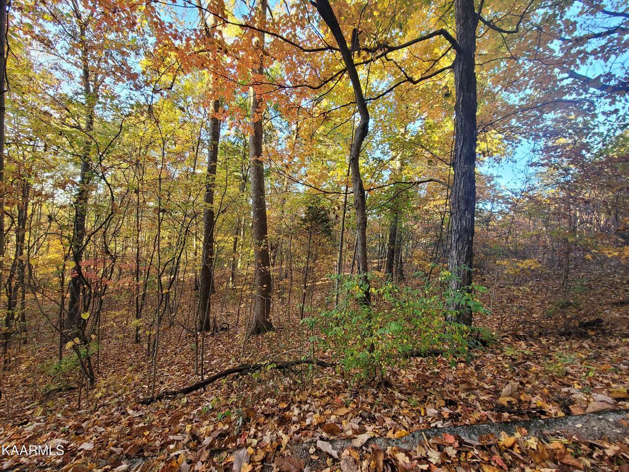 Duke Lane - Photo 1