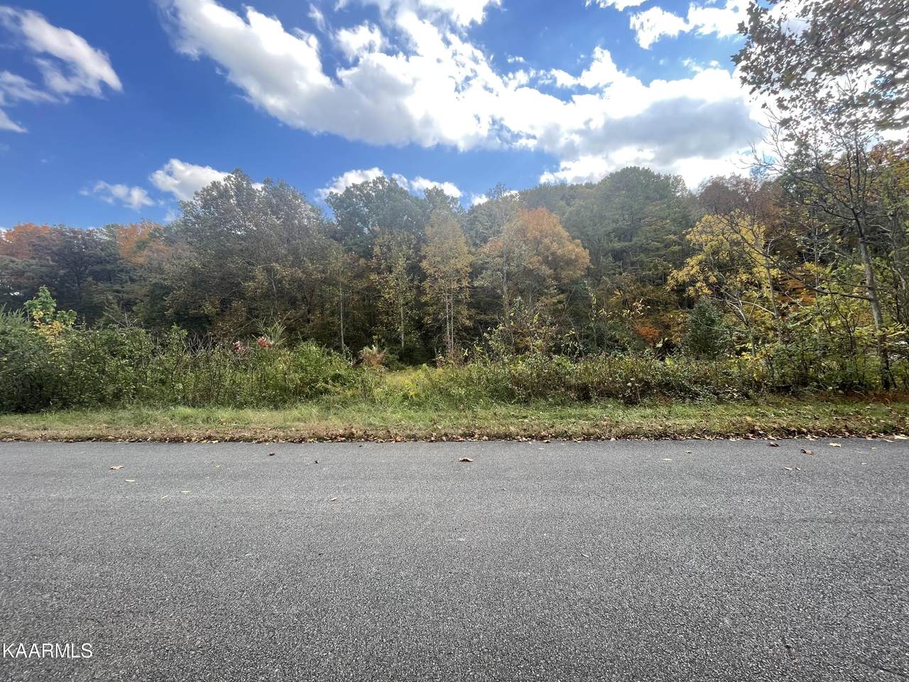 English Fields Drive - Photo 1