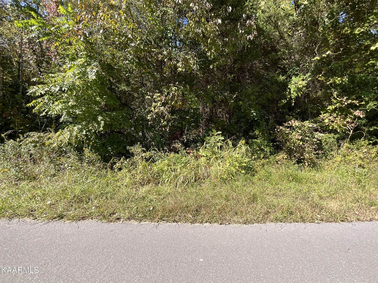 Lot 46 Driftwood Cir - Photo 1