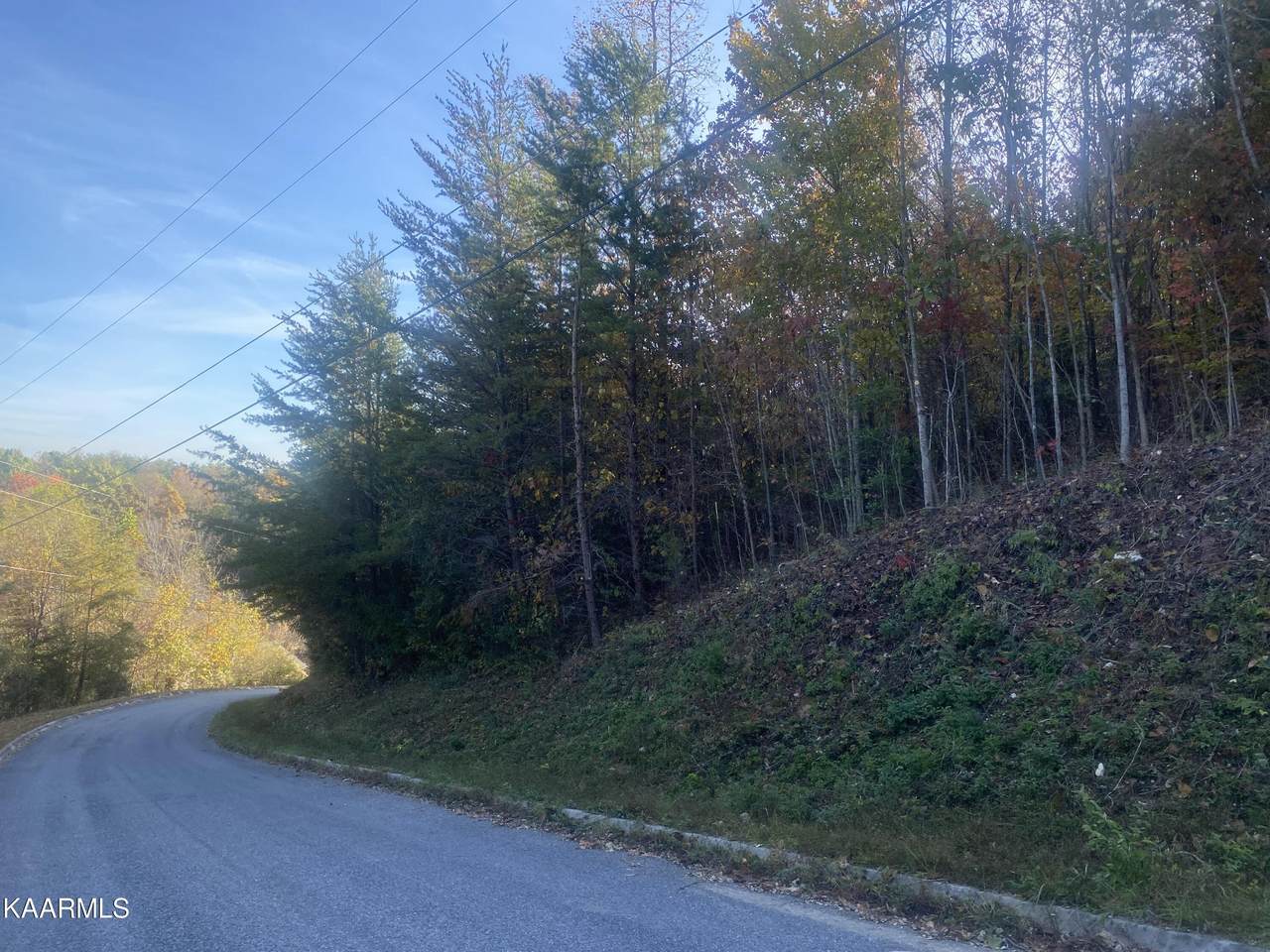 Red Oak Lane - Photo 1