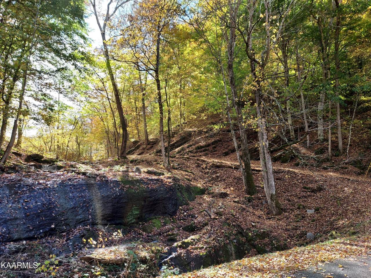 tbd Highway 131 - Photo 1