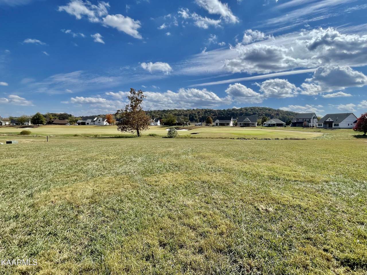294 Cottonwood Tr - Photo 1