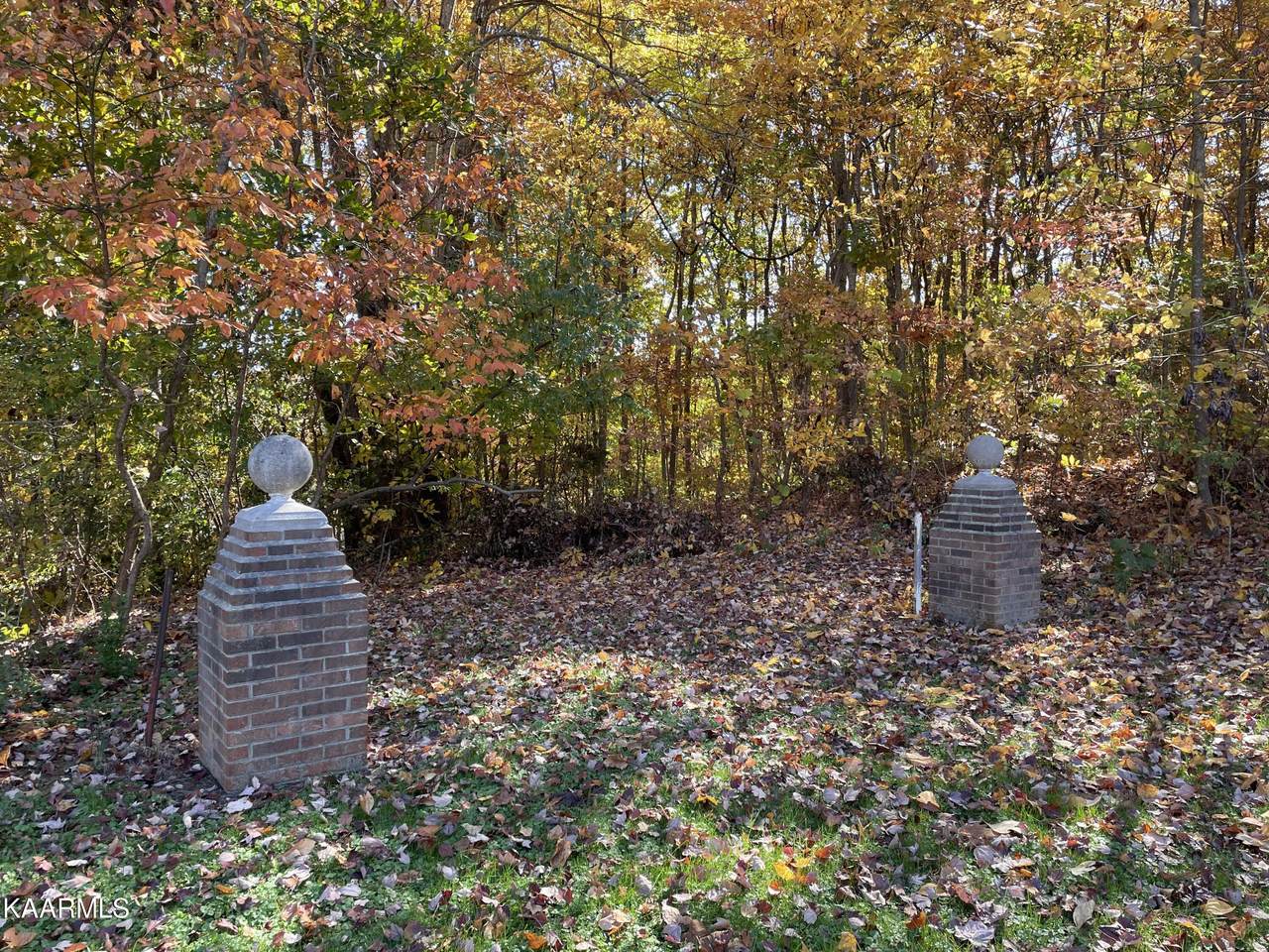 Cove Circle - Photo 1