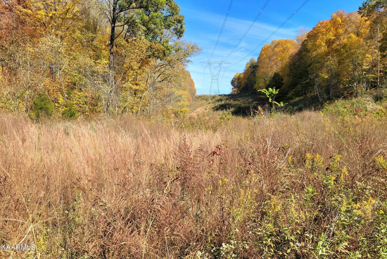 9100 Copper Valley Rd - Photo 1