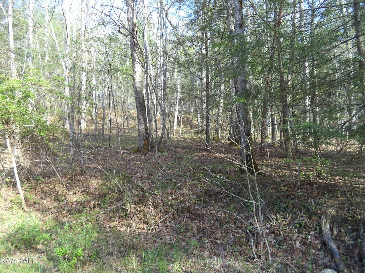 Trct 1 Low Gap Rd - Photo 1