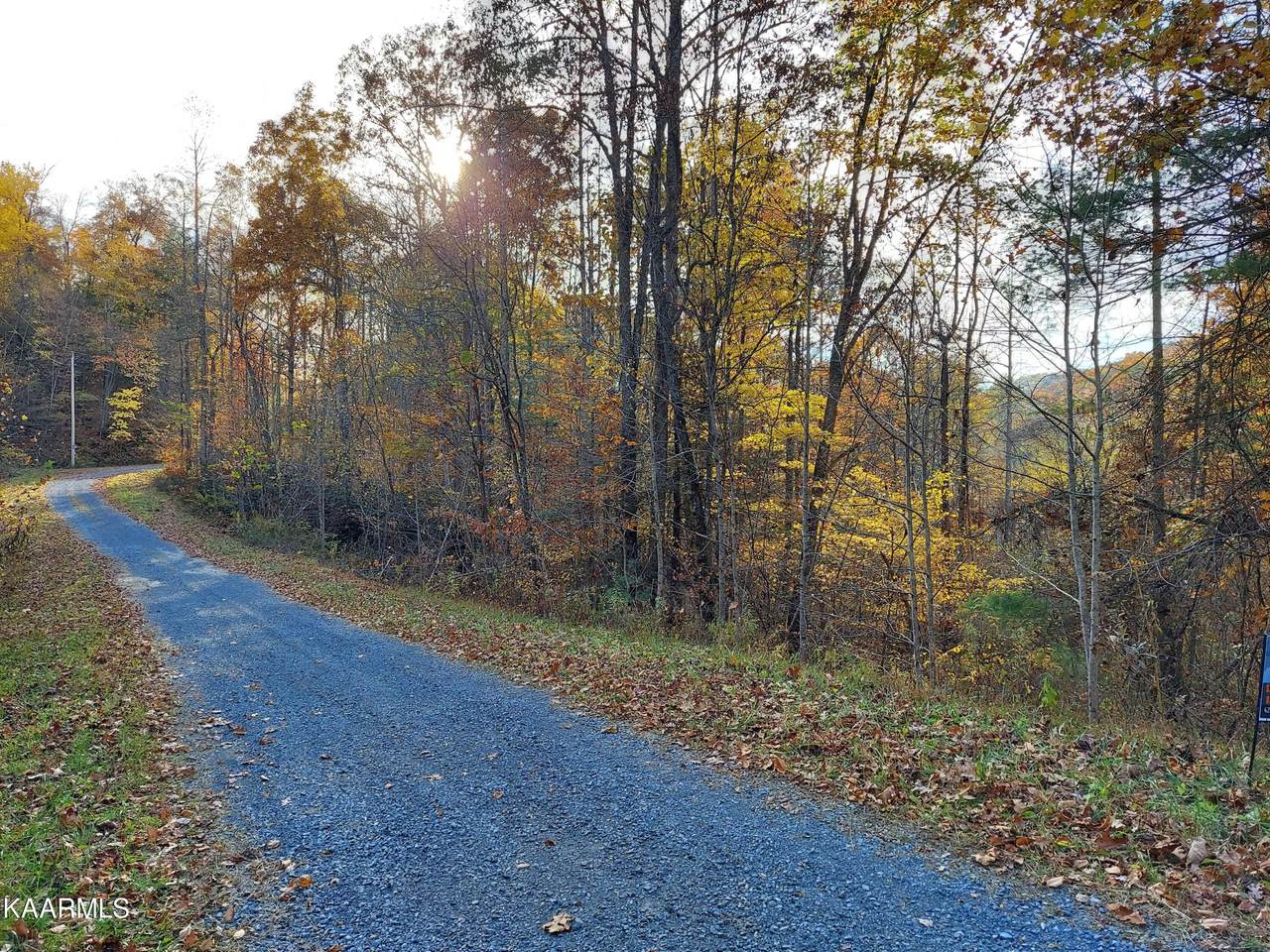 Lot #19 Sugar Maple Way - Photo 1